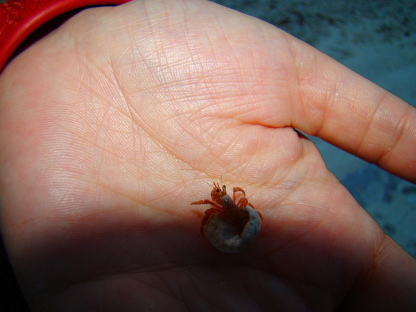 马尔代夫旅游攻略图片