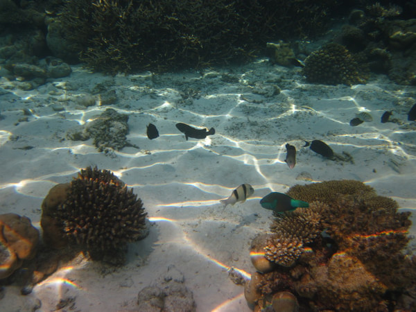 马尔代夫景点图片 马尔代夫景点图片