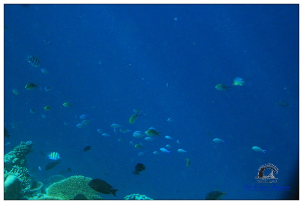 马尔代夫景点图片