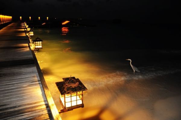 马尔代夫旅游攻略图片 马尔代夫旅游攻略图片