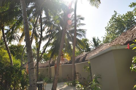 伊瑚鲁岛自助游图片