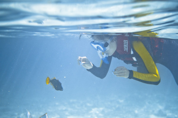 马尔代夫旅游攻略图片