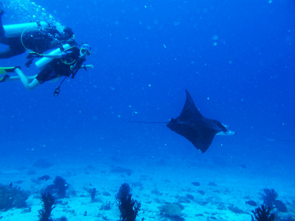 马尔代夫旅游攻略图片