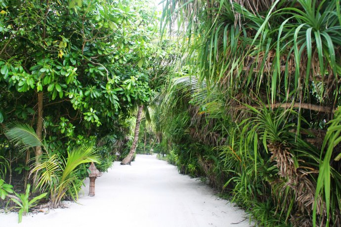 马尔代夫游记（五）岛中漫步