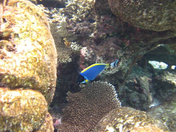 马尔代夫景点图片 马尔代夫景点图片