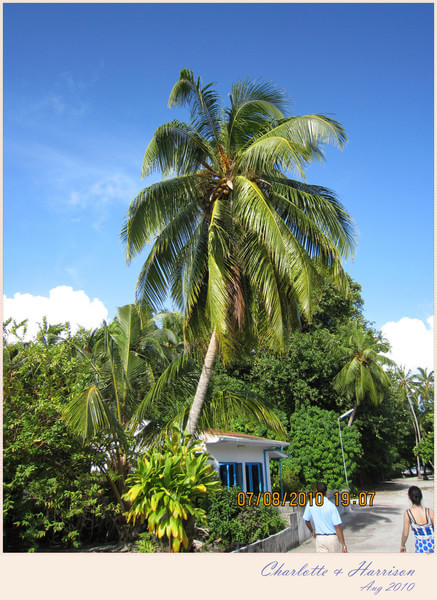 马尔代夫自助游图片