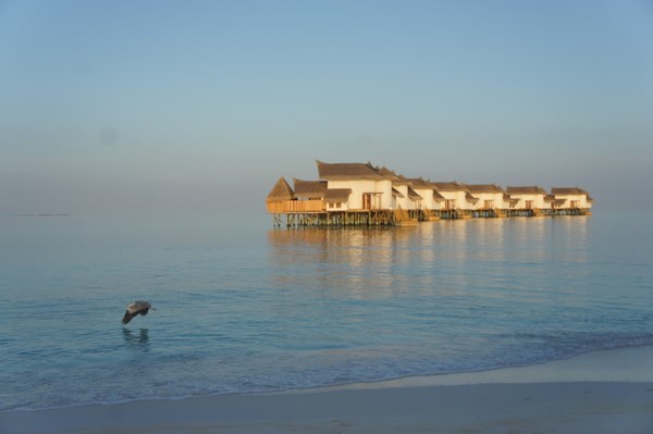马尔代夫景点图片