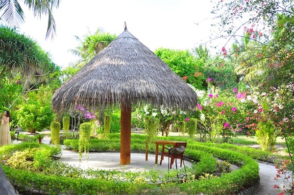 马尔代夫旅游攻略图片