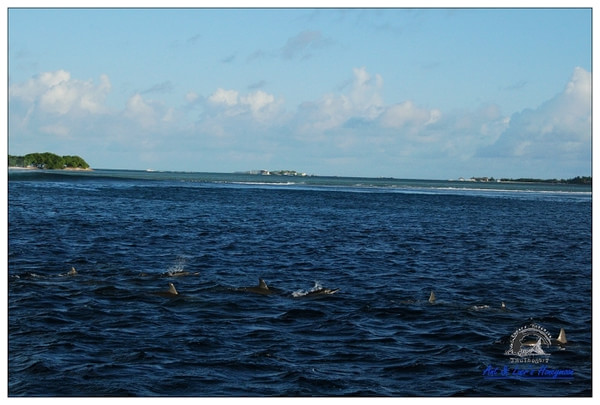 马尔代夫景点图片
