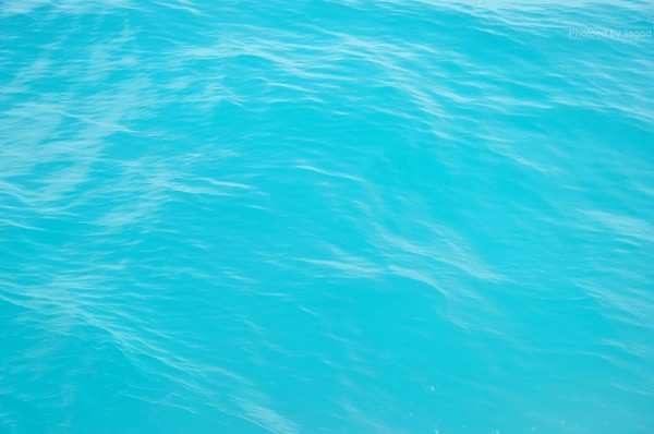 马尔代夫自助游图片 马尔代夫自助游图片