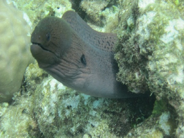 马尔代夫自助游图片