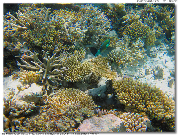 马尔代夫景点图片