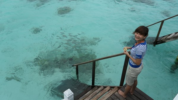 马尔代夫旅游攻略图片