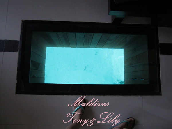 马尔代夫旅游攻略图片