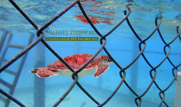 马尔代夫景点图片 马尔代夫景点图片