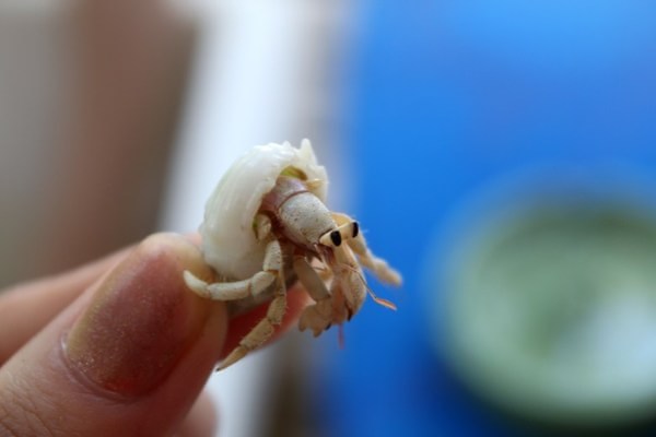 马尔代夫景点图片 马尔代夫景点图片