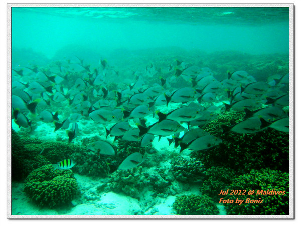 卡努呼拉岛图片 卡努呼拉岛图片