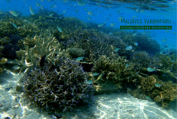 马尔代夫景点图片 马尔代夫景点图片