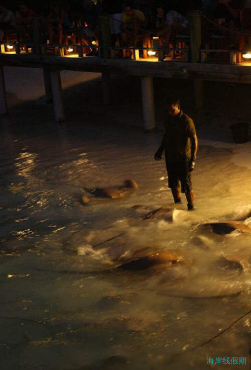 Maldives-Kuramathi游玩攻略(二）,马尔代夫游记，海岸线假期