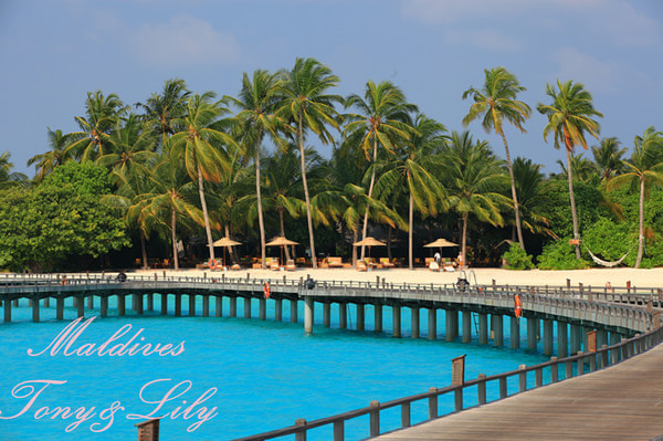 马尔代夫自助游图片