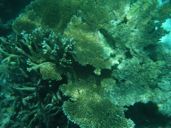 马尔代夫自助游图片