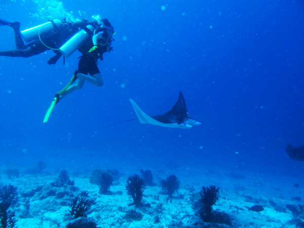 马尔代夫景点图片