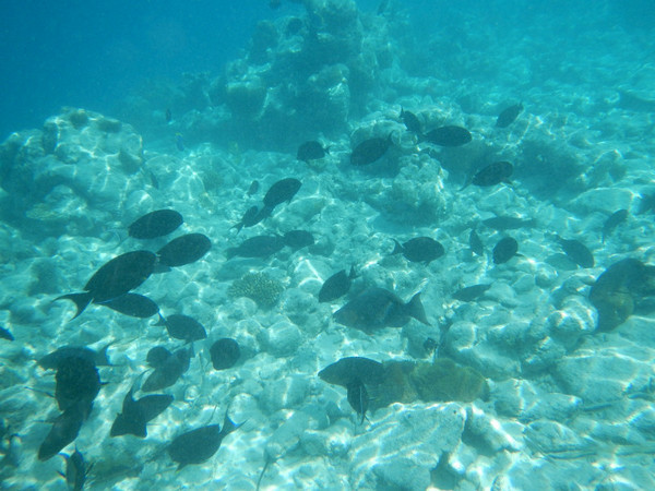 马尔代夫旅游攻略图片 马尔代夫旅游攻略图片