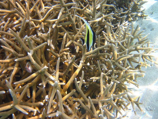 马尔代夫景点图片 马尔代夫景点图片