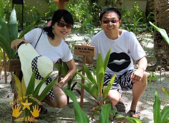 马尔代夫自助游图片 马尔代夫自助游图片