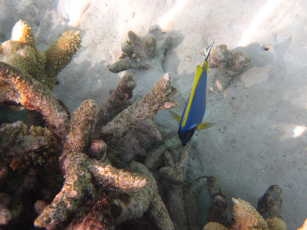 马尔代夫景点图片 马尔代夫景点图片