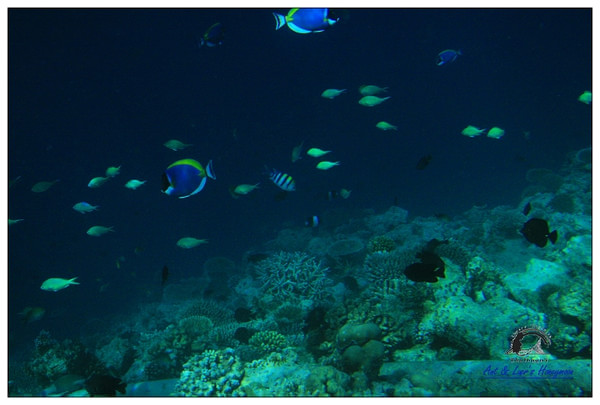 马尔代夫旅游攻略图片