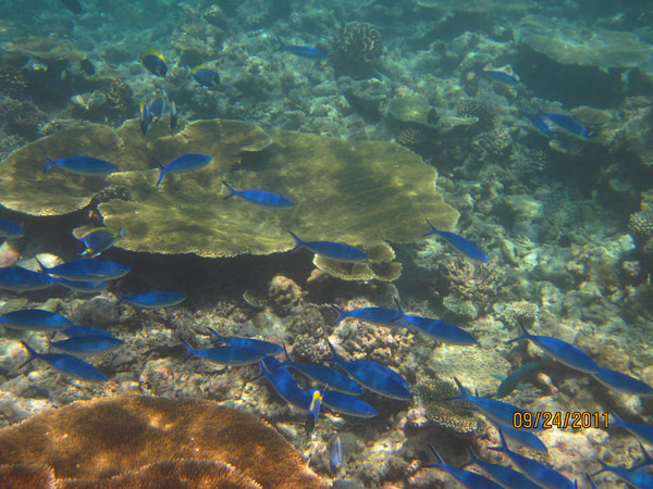 马尔代夫景点图片