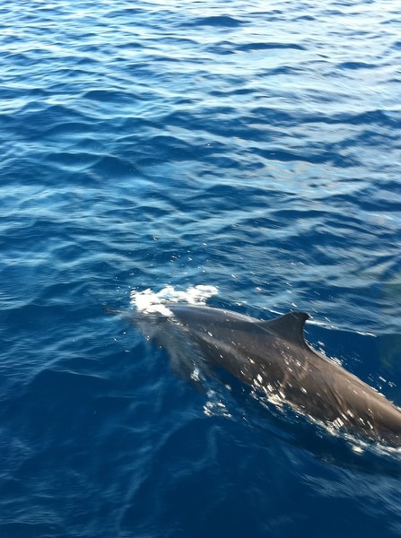 马尔代夫景点图片