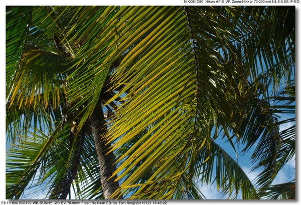 马尔代夫自助游图片