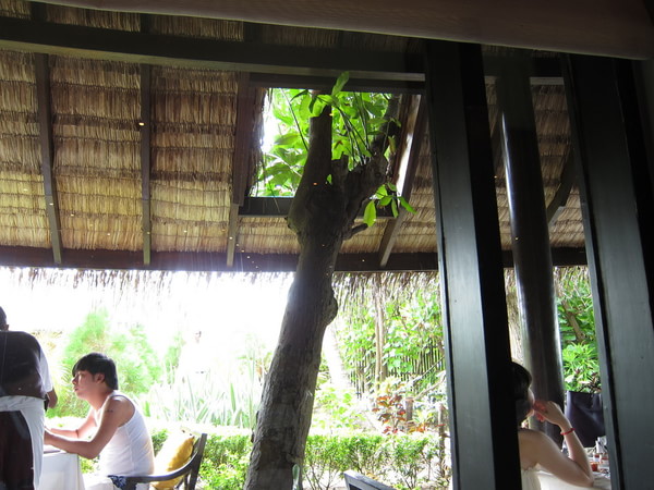 马尔代夫自助游图片