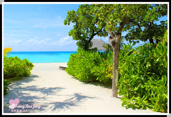 马尔代夫旅游攻略图片