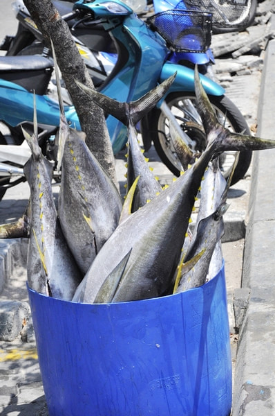 马尔代夫景点图片