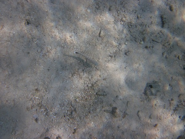 马尔代夫自助游图片 马尔代夫自助游图片