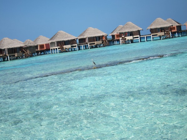 马尔代夫图片