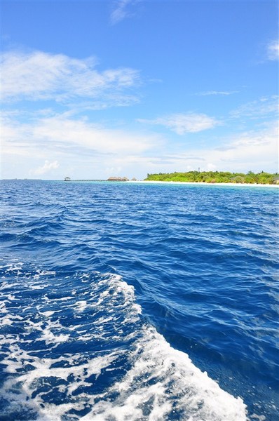 马尔代夫自助游图片