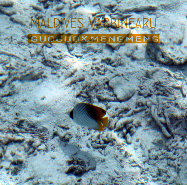 马尔代夫旅游攻略图片 马尔代夫旅游攻略图片