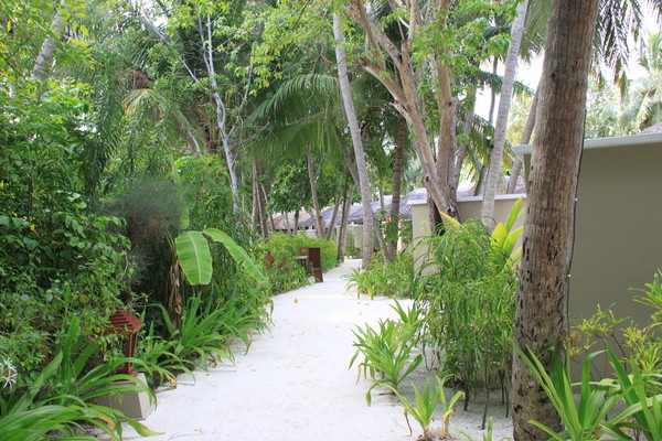 马尔代夫景点图片 马尔代夫景点图片