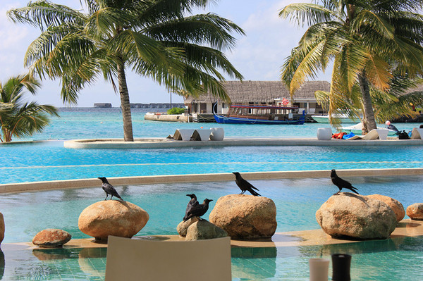 马尔代夫旅游攻略图片