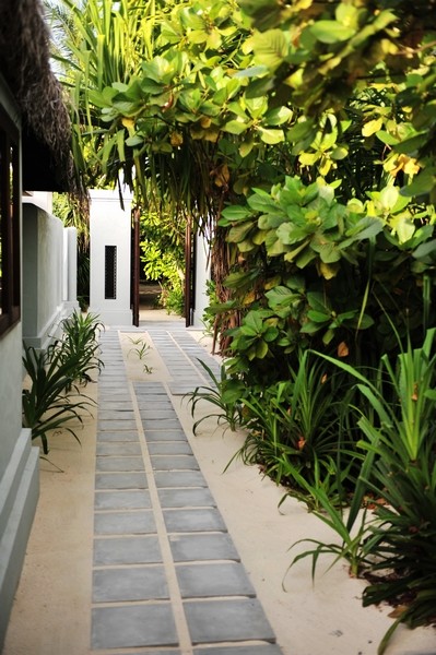 马尔代夫自助游图片