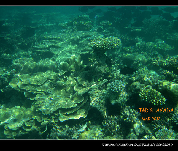 马尔代夫景点图片