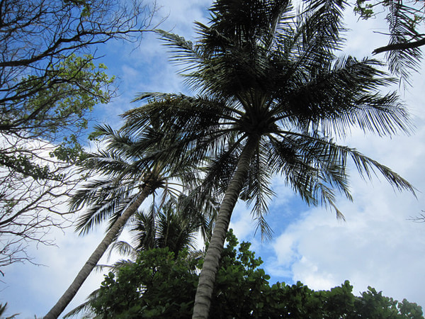 马尔代夫自助游图片