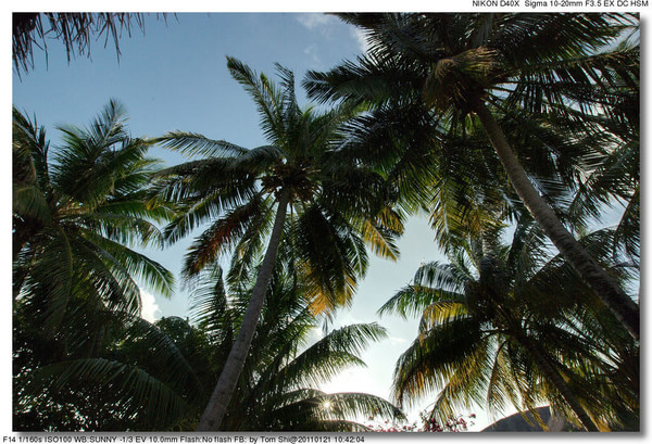 马尔代夫景点图片