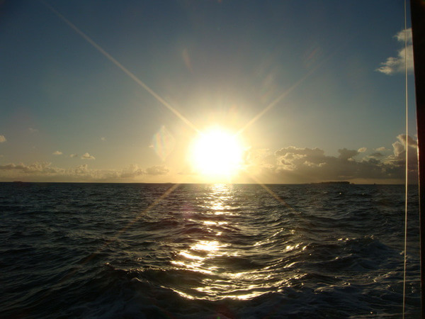 马尔代夫自助游图片