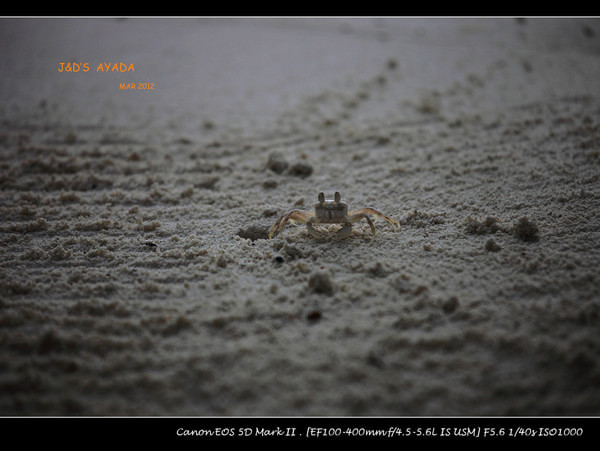 马尔代夫自助游图片