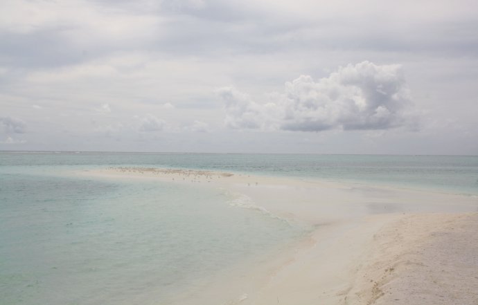 马尔代夫游记（五）岛中漫步